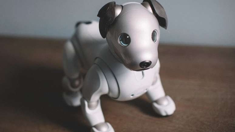 Ser&aacute; que o novo Aibo vai dar certo?