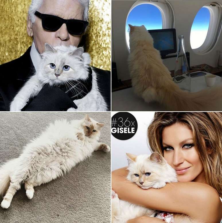 Acima, a gata com o estilista e num voo em jato privado; abaixo, em momento relax e com a top brasileira Gisele Bündchen