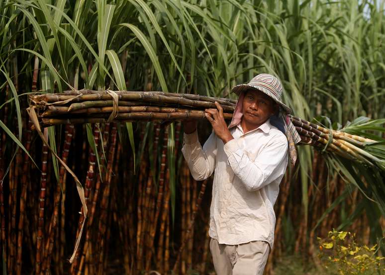 Plantação de cana-de-açúcar em Kandal, no Camboja
23/01/2019
REUTERS/Samrang Pring