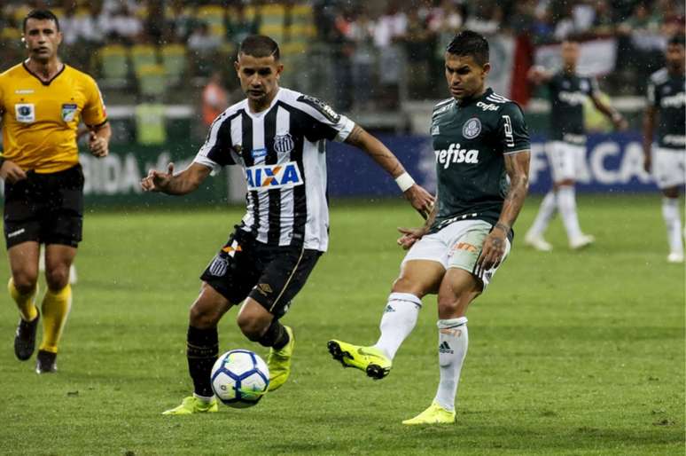 Último confronto: Palmeiras 3 x 2 Santos - Brasileiro de 2018 - 3/11/2018 (Foto: Rodrigo Gazzanel/RM Sports)