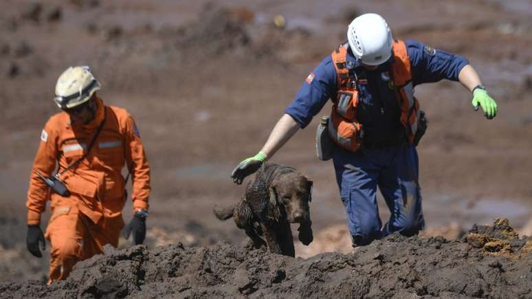 Famílias de vítimas não encontradas em Brumadinho podem solicitar o reconhecimento de morte presumida, diz Defensoria Pública