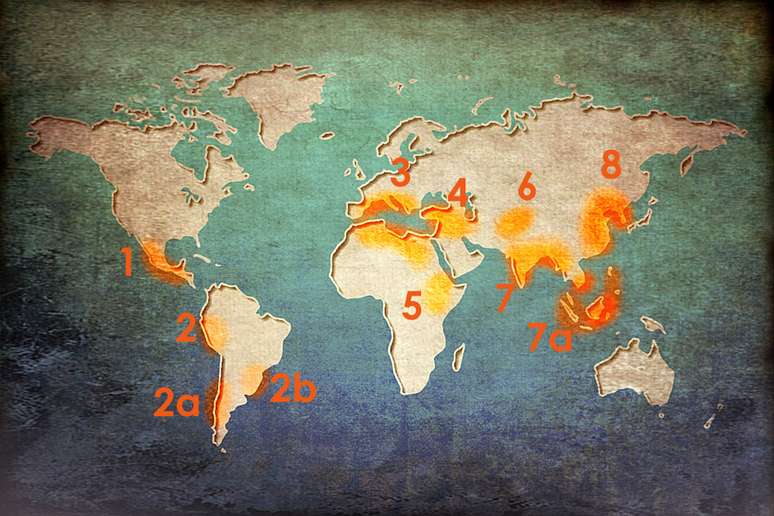 Vavílov inventou o conceito de "centros de origem", áreas geográficas onde um grupo de organismos desenvolveu suas propriedades distintivas pela primeira vez. Estes foram os que ele identificou: 1) México, Guatemala; 2) Peru, Equador, Bolívia; 2a) ao sul do Chile; 2b) Paraguai, sul do Brasil; 3) Mediterrâneo; 4) Oriente Médio; 5) Etiópia; 6) Ásia Central; 7) Indo-Birmânia; 7a) Siam, Malásia, Java; 8) China, Coréia