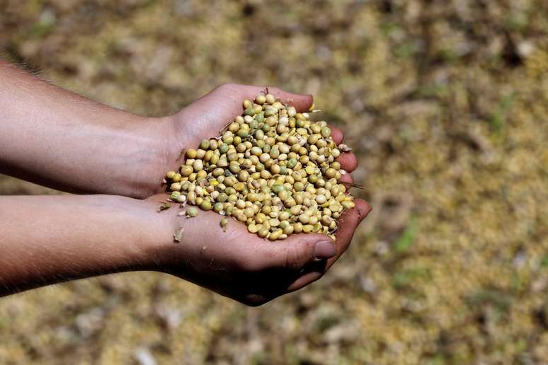 Mão recolhe grãos de soja no Paraguai
29/01/2019
REUTERS/Jorge Adorno