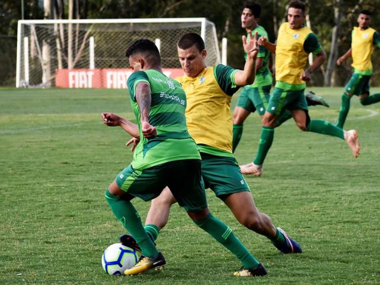 O Coelho está invicto na temporada 2019 e terá um duro rival na Copa do Brasil- João Zebral/América-MG