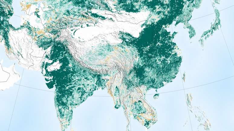 Aumento de área coberta por vegetação foi puxado pela Índia e China
