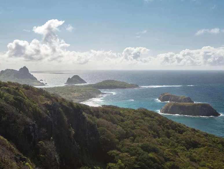 Estima-se que 1.300 gatos vivam em Fernando de Noronha, onde a população humana alcança entre 4.500 a 6.000 pessoas