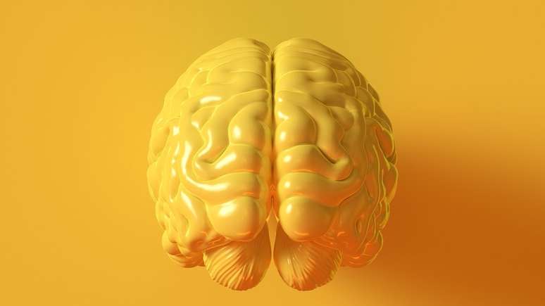 Na velhice, as mulheres tendem a permanecer mais h&aacute;beis mentalmente do que homens