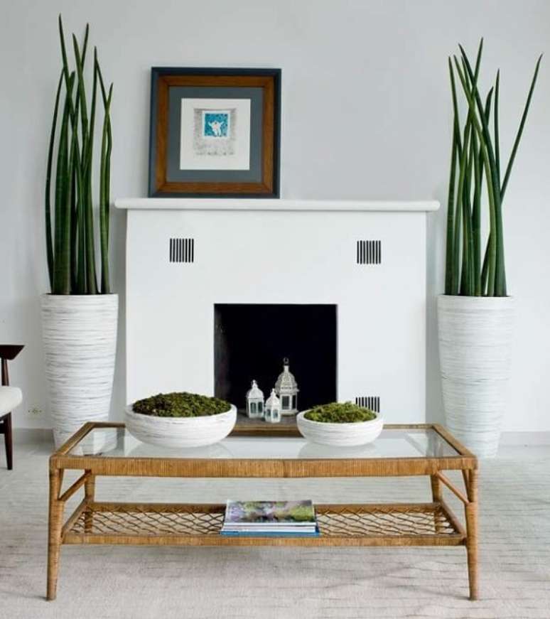 30- As plantas para sala como as Lanças-de São- Jorge são plantadas em vasos altos. Fonte: Casa e Jardim