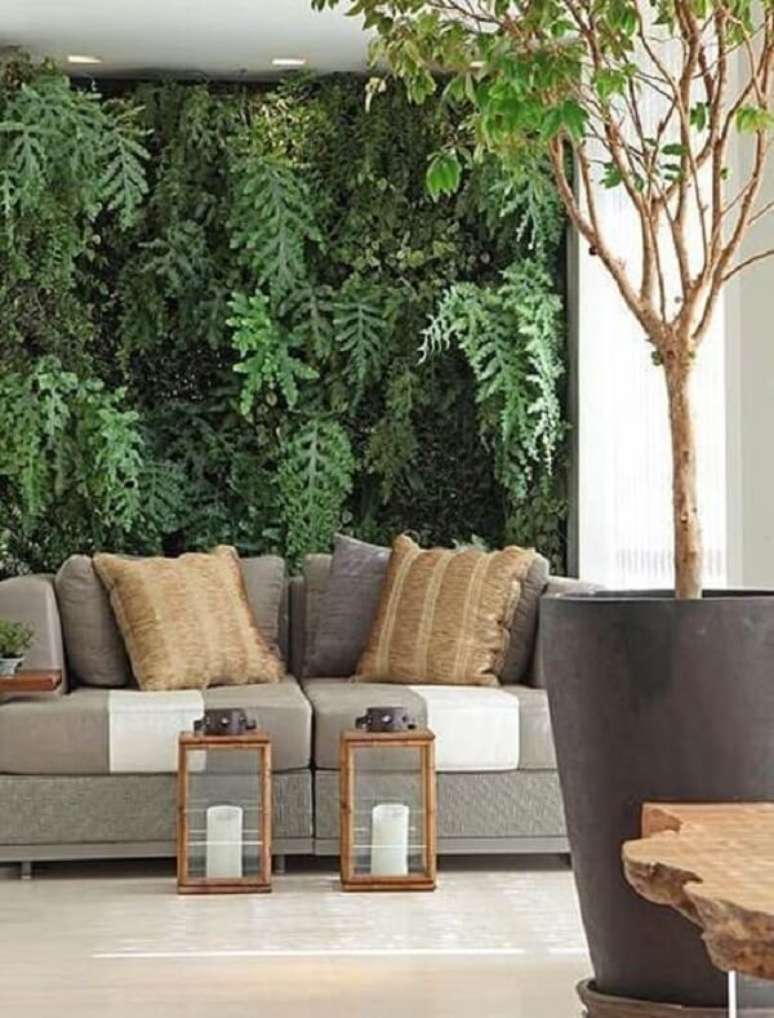 15- As plantas para sala como as samambaias podem formar um painel verde. Fonte: Decoração de casa