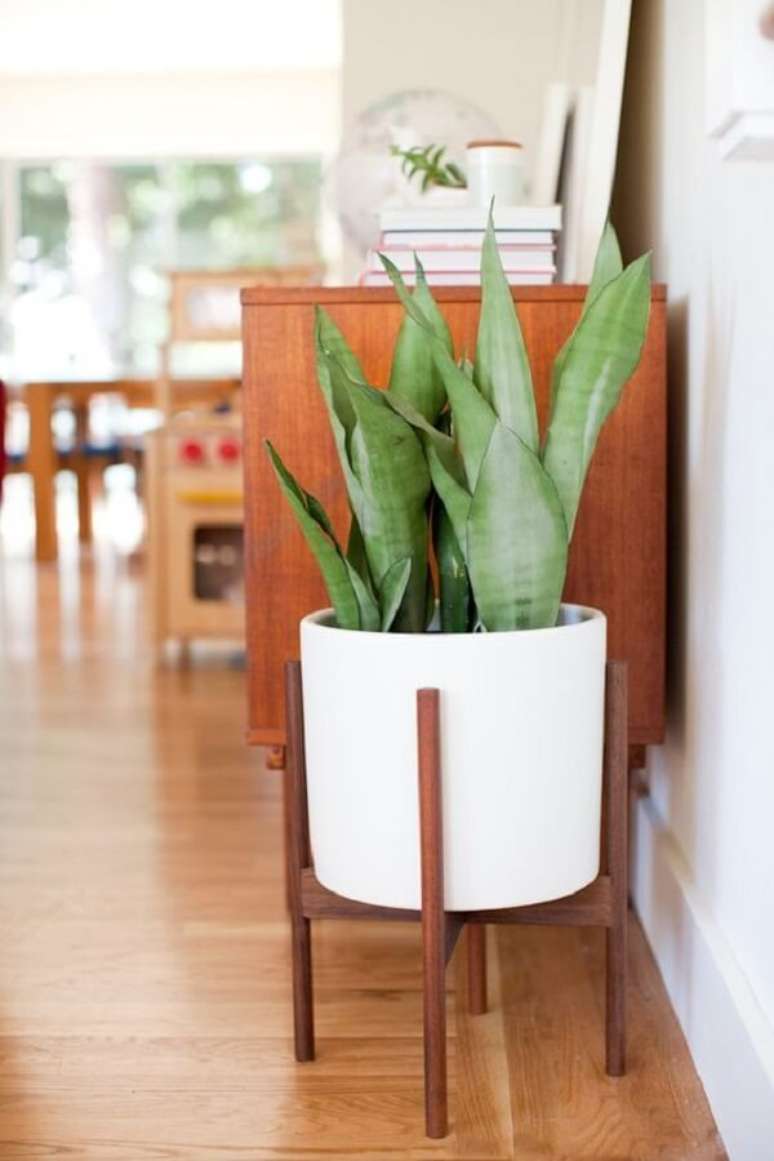 31- As plantas para sala em vasos pequenos podem ser colocadas em suportes de madeira. Fonte: Pinterest