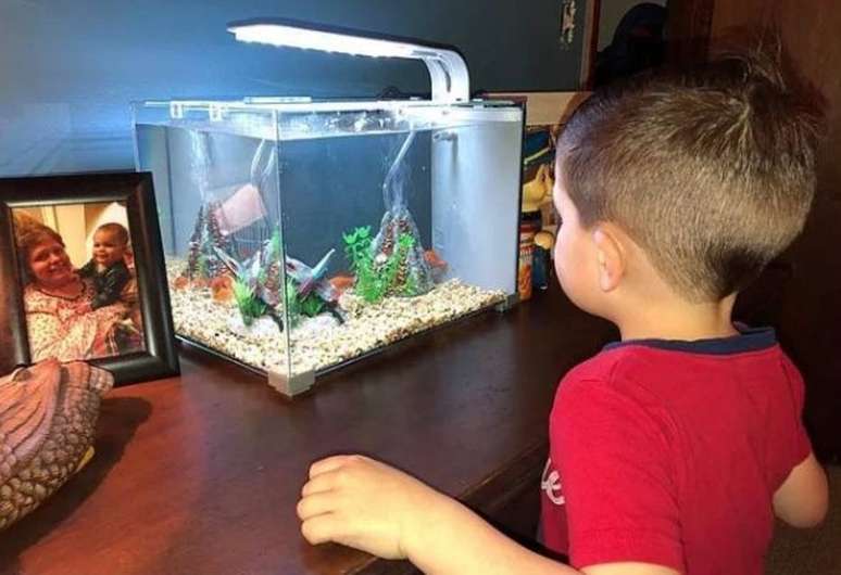 O pequeno Everett sempre observava o peixinho em seu aquário até ter a ideia de se aproximar ainda mais dele.