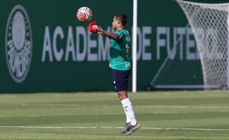 Dudu já marcou um gol e deu uma assistência em dez partidas na atual temporada (Agência Palmeiras/Divulgação)