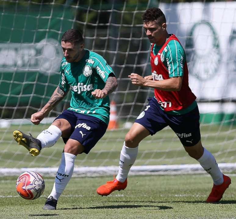 O meia Zé Rafael recebe elogios de Moisés pelo seu desempenho nos treinamentos (Agência Palmeiras/Divulgação)