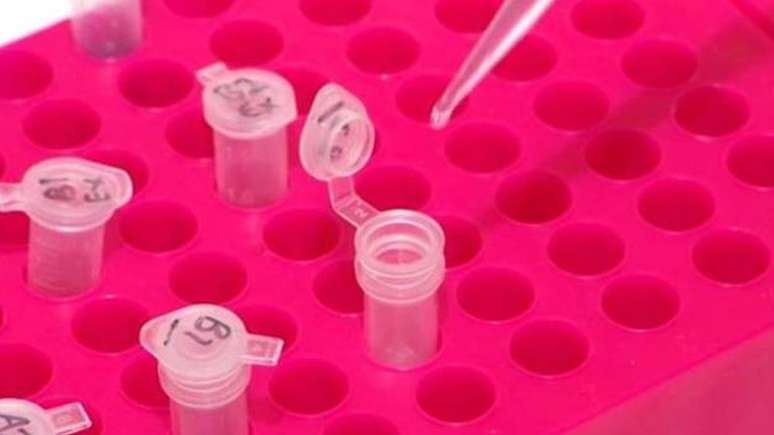 O processo de triagem e teste nos quatro irm&atilde;os levou de cerca de 12 meses a tr&ecirc;s anos