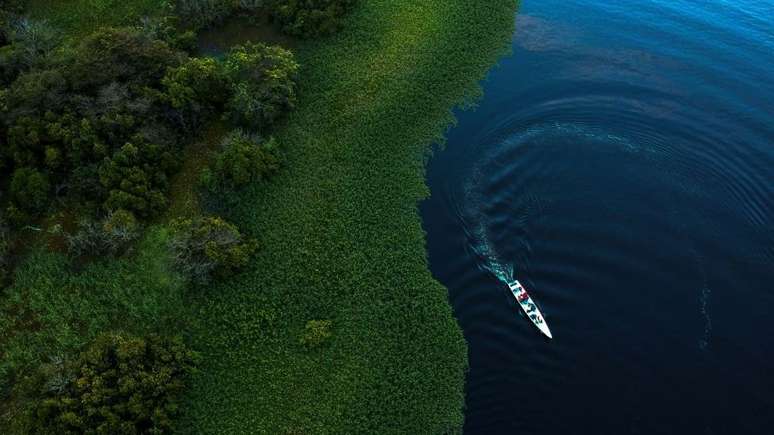 A Amaz&ocirc;nia &eacute; destacada na pesquisa como um dos exemplos de biomas que abriga &aacute;reas de mata virgens