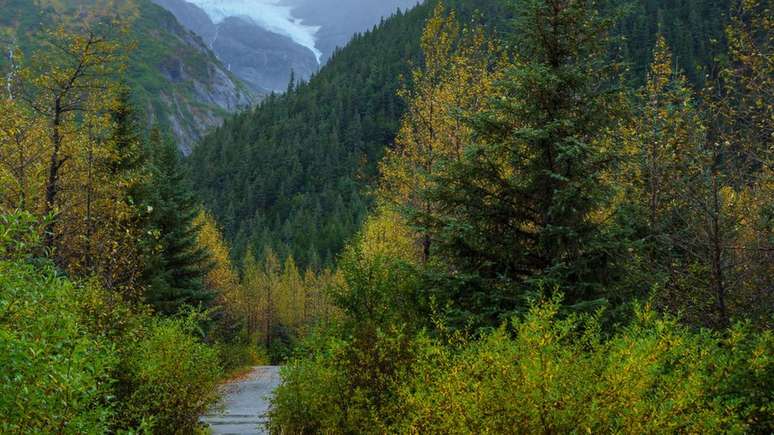 Biomas do Hemisf&eacute;rio Norte, como a tundra e a taiga, tamb&eacute;m guardam esp&eacute;cies e processos biol&oacute;gicos com pouca interfer&ecirc;ncia humana