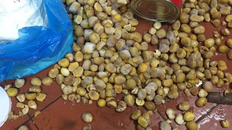 Tamb&eacute;m foram encontradas castanhas espalhadas pelo ch&atilde;o da cozinha