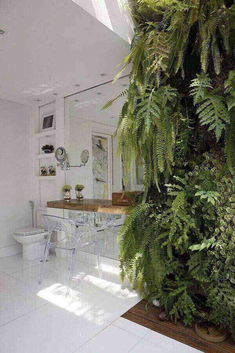 46- A samambaia é uma planta que se desenvolve em banheiros, pois gosta de ambientes quentes e úmidos. Fonte: Pinterest