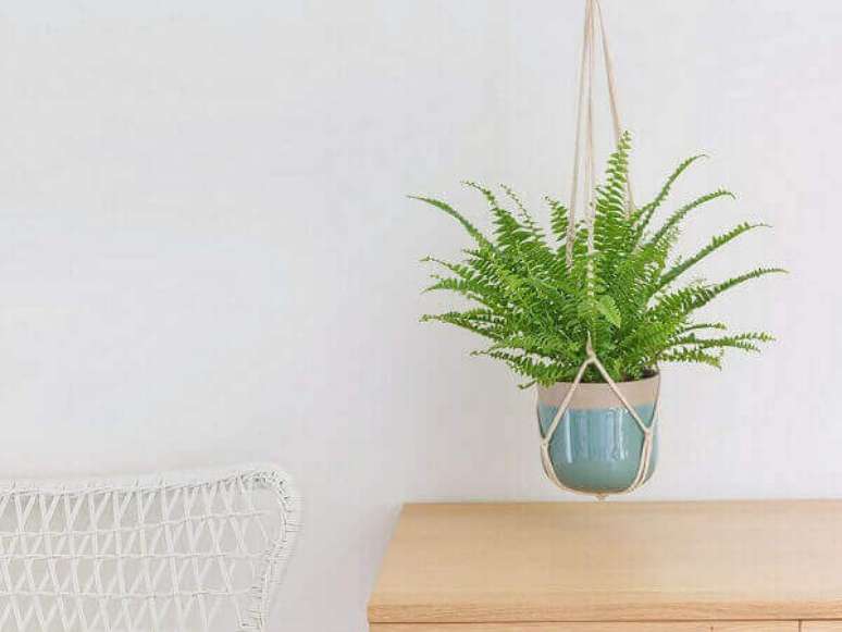 58- A samambaia plantada em pequeno vaso suspenso sobre a mesa decora a varanda. Fonte: Interflora