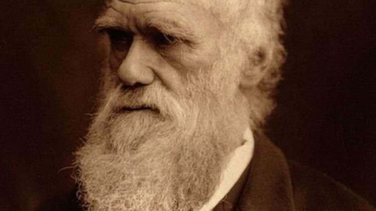 Quando Charles Darwin morreu em 1882, foi enterrado na Abadia de Westminster, ao lado de outras grandes figuras nacionais.