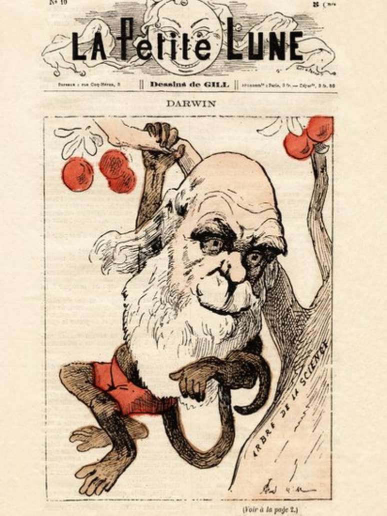 Revista francesa com caricatura de Darwin e sua teoria de que os humanos e os macacos têm um ancestral comum.