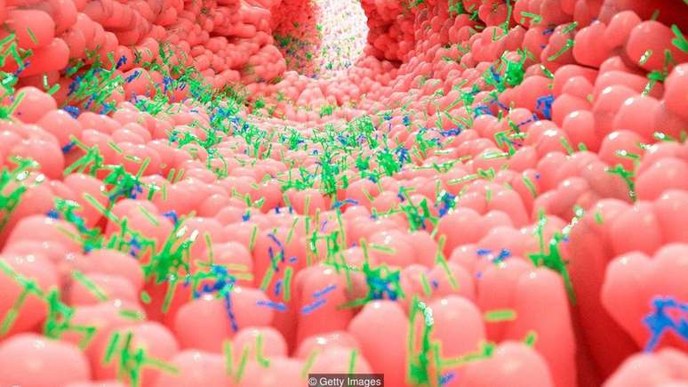 Tomar probi&oacute;ticos quando a sa&uacute;de do intestino est&aacute; fragilizada pode n&atilde;o ser uma boa ideia