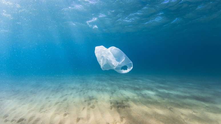 O plástico é visto como ameaça a animais de diversas espécies - eles engolem resíduos acidentalmente ou os confundem com comida