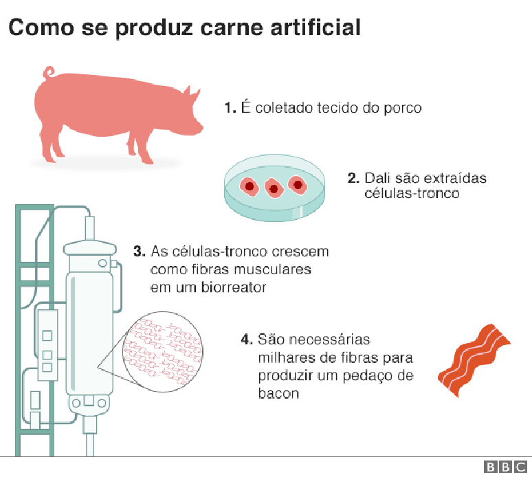 como se produz carne artificial