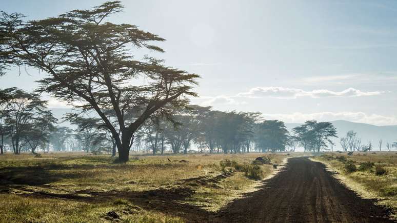 Muitos alunos caminham mais de seis quilômetros para chegar a escola no Vale do Rift