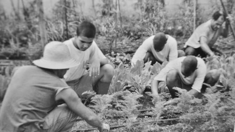 Adolescentes trabalhando na horta de uma unidade de internação no início do século 20
