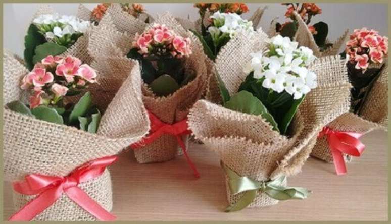 12- A flor Kalanchoe &eacute; um presente que pode ser entregue aos convidados no final do evento. Fonte: Pinterest