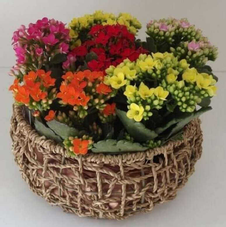 18- No cachepot em sisal, as v&aacute;rias mudas de mini Kalanchoe formam o arranjo. Fonte: Pinterest