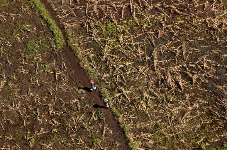 Mulheres passam por plantação destruída por ciclone em Beira, Moçambique
24/03/2019
REUTERS/Mike Hutchings