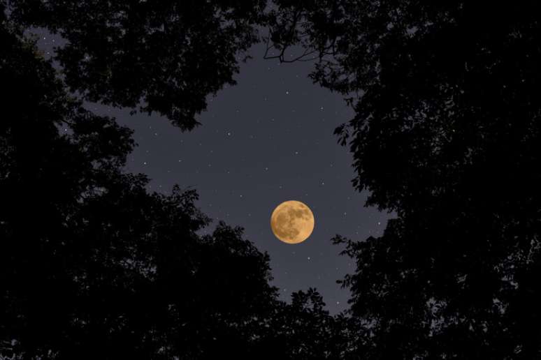 Quais signos serão mais impactados pela Lua Nova do dia 05?