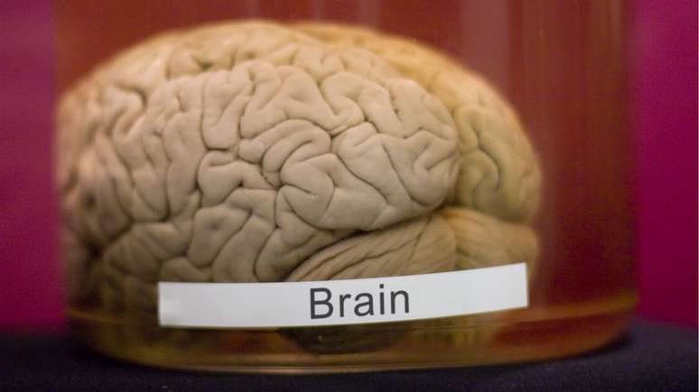 A longo prazo, os cientistas esperam encontrar melhores formas de proteger o cérebro após traumas