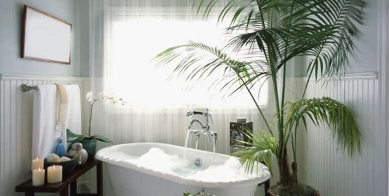 43- As plantas para banheiro levam beleza e purificam o ar do ambiente. Fonte: Pinterest