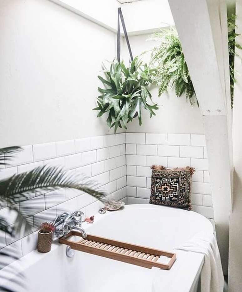 50- O chifre de Veado &eacute; uma esp&eacute;cie ornamental muito utilizado como plantas para banheiro. Fonte: Decor Assentos