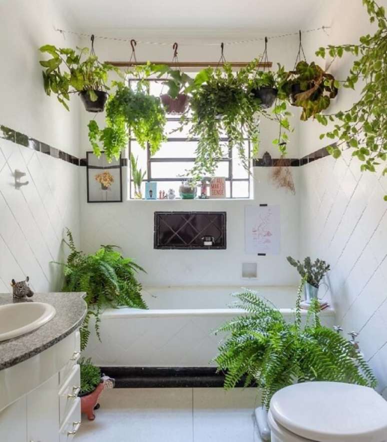 11- As plantas para banheiro formam um varal verde. Fonte: Hist&oacute;rias de Casa