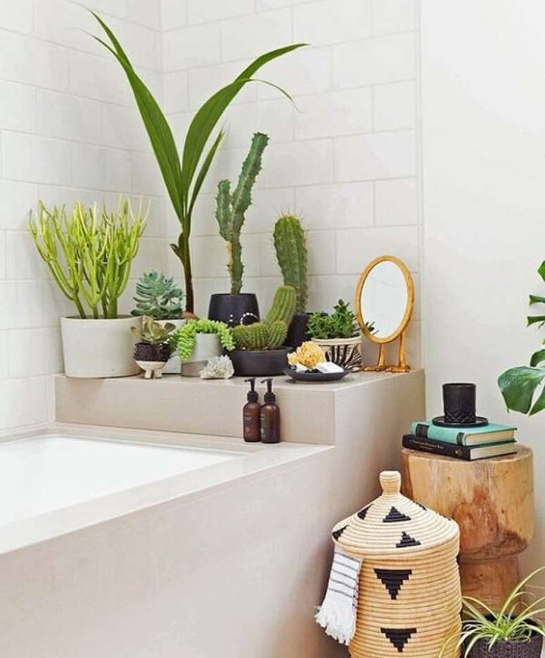 49- As plantas para banheiro podem ser colocadas em grupos formando um pequeno jardim. Fonte: Decor Assentos