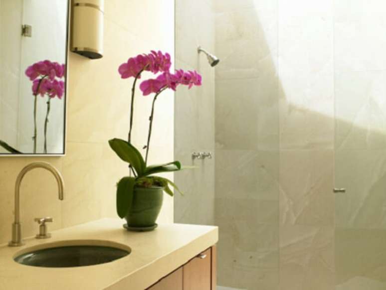 16- A Orqu&iacute;dea &eacute; uma das plantas para banheiro mais utilizadas em lavabos. Fonte: Condoplus