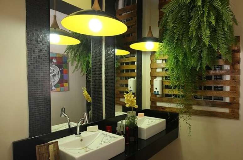 4- As plantas para banheiro escuro como as Samambaias se adaptam a pouca luminosidade. Fonte: Ch&aacute;cara Flor da Suissa