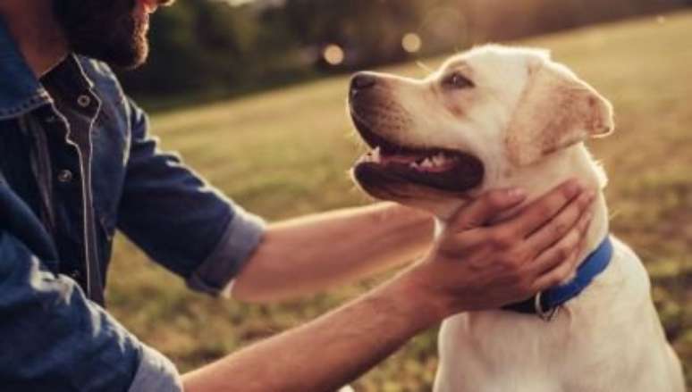 Pesquisa revela que donos de cães praticam mais exercícios - Foto: Shutterstock