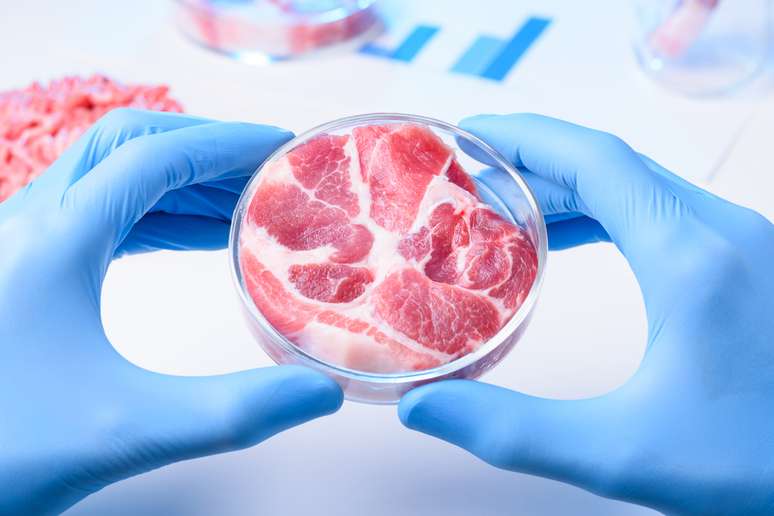 A empresa americana Beyond Meats, que faz versões de carnes vegetais, disse que espera levantar US$ 200 milhões em sua oferta pública de ações