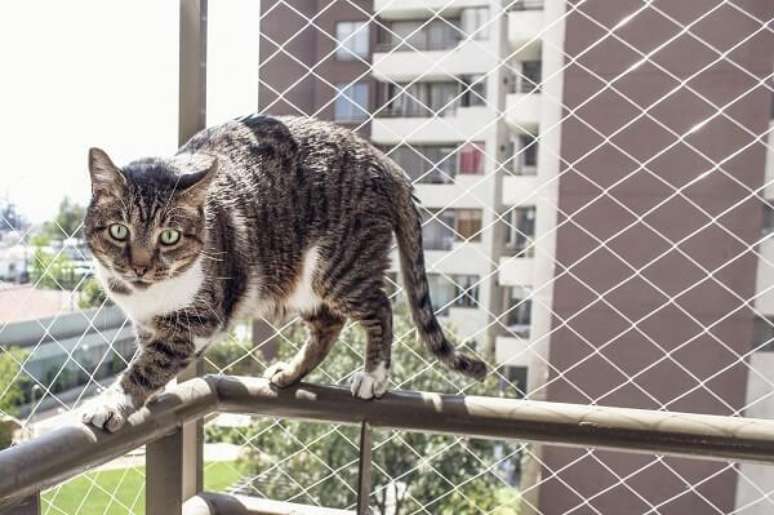 6- A tela de proteção para sacada garante a segurança dos pets. Fonte: Triider