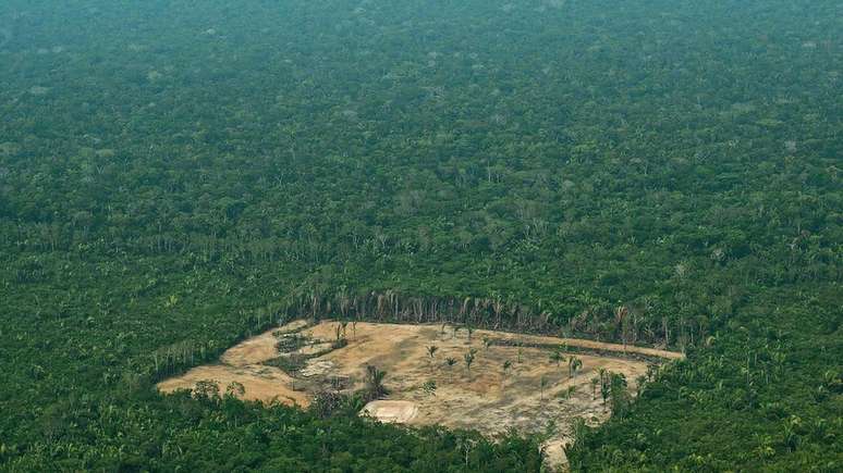 Amazônia perdeu 50 mil km² de matas nos últimos 7 anos