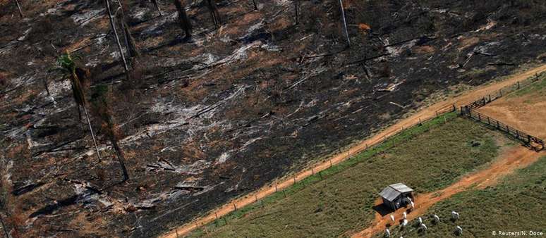 Pasto em área desmatada da Amazônia