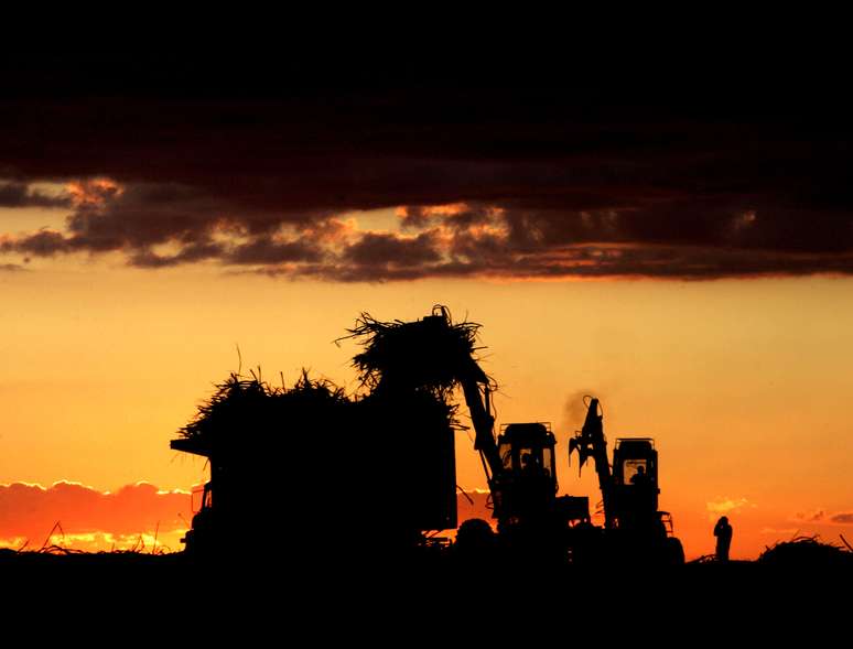 Colheita de cana-de-açúcar no Paraná
11/03/2006
REUTERS/Paulo Whitaker