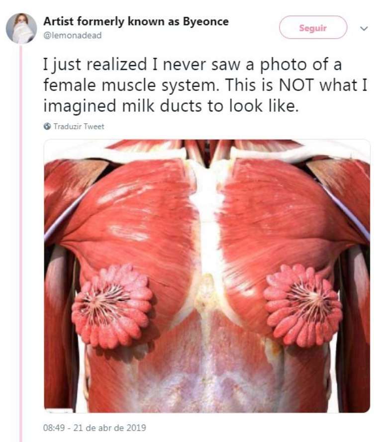 "Acabei de perceber que nunca tinha visto uma foto do sistema muscular feminino. Nunca imaginei que os dutos de leite tivessem essa aparência!"