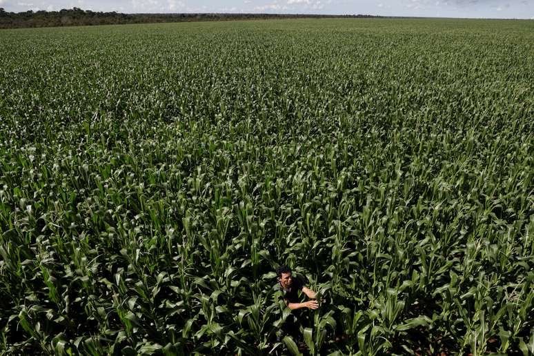 Plantio de milho em Campo Novo do Parecis (MT) 
26/04/2018
REUTERS/Ueslei Marcelino