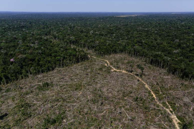 Imagens a&eacute;reas mostram &aacute;rea desmatada na Amaz&ocirc;nia
27/07/2017 REUTERS/Bruno Kelly
